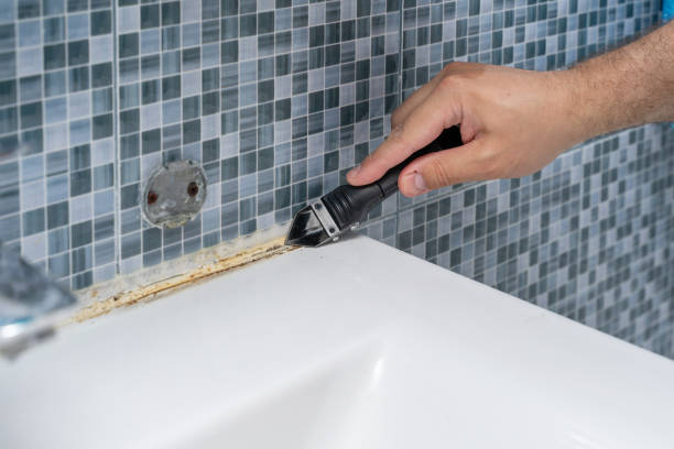  Poquonock Bridge, CT Mold Removal Pros